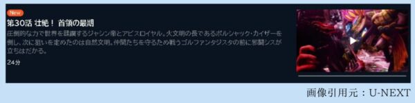 アニメ デュエル・マスターズ WIN 決闘学園編（2期） 30話 無料動画配信