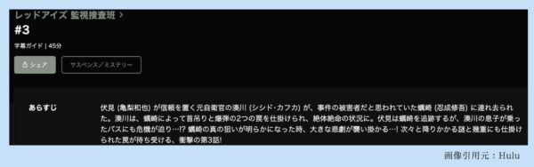 Hulu ドラマ レッドアイズ監視捜査班 配信動画