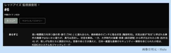 Hulu ドラマ レッドアイズ監視捜査班 配信動画