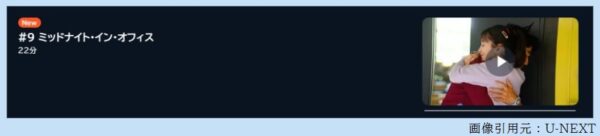 ドラマ 時をかけるな恋人たち 9話 無料動画配信