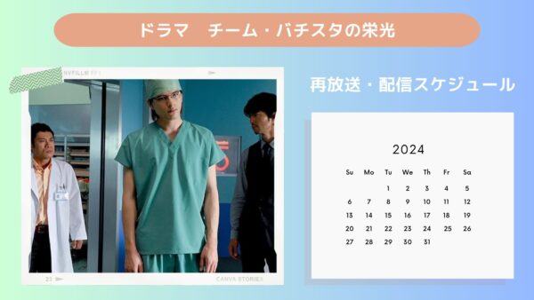 ドラマ　チーム・バチスタの栄光配信・再放送スケジュール無料視聴