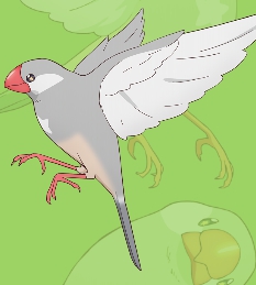 ピーちゃん アニメ 佐々木とピーちゃん 動画無料配信