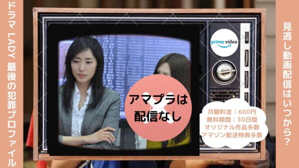 ドラマ LADY～最後の犯罪プロファイル 配信アマプラ無料視聴