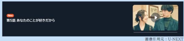 ドラマ アイのない恋人たち 5話 無料動画配信