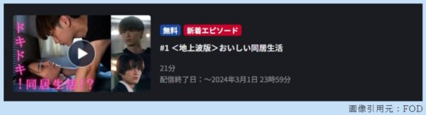 ドラマパーフェクトプロポーズ1話無料動画配信.