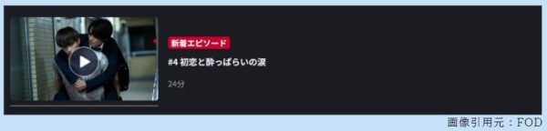 ドラマ パーフェクトプロポーズ 4話 無料動画配信