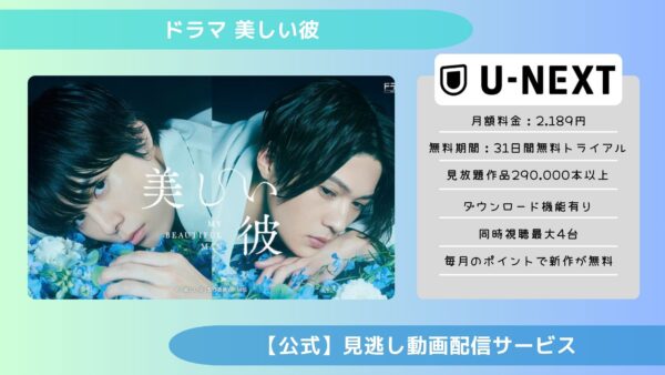 ドラマ 美しい彼配信U-NEXT無料視聴