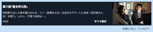 ドラマハタチの恋人 U-NEXT 無料視聴