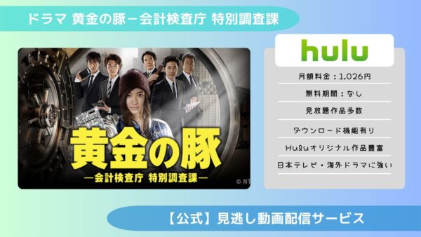 ドラマ 黄金の豚－会計検査庁 特別調査課 配信Hulu無料視聴