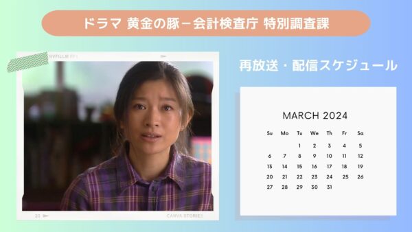 ドラマ 黄金の豚－会計検査庁 特別調査課 配信・再放送スケジュール無料視聴