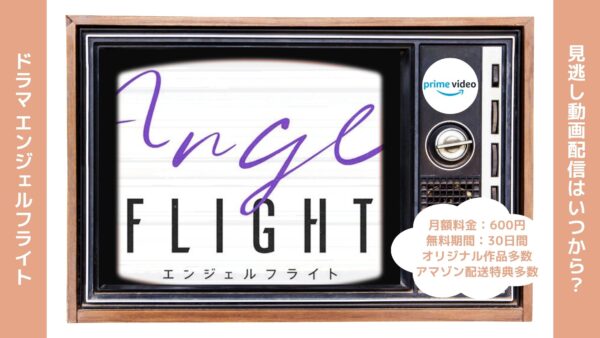 ドラマエンジェルフライト配信amazon無料視聴
