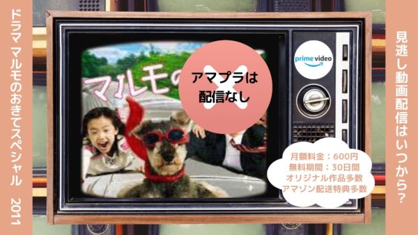 ドラマ マルモのおきてスペシャル(2011) Amazonプライム 無料視聴