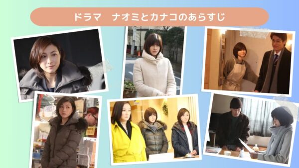 ドラマ ナオミとカナコ あらすじ