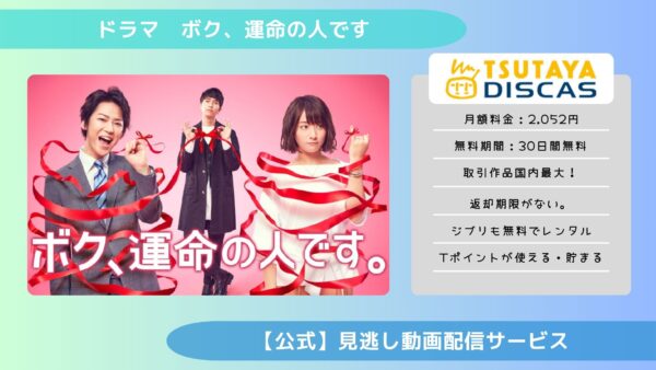 ドラマ　ボク、運命の人です配信TSUTAYA DISCAS無料視聴