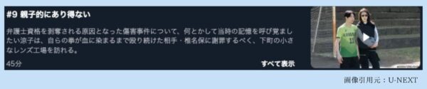 ドラマ合理的にあり得ない～探偵・上水流涼子の解明～ U-NEXT 無料視聴