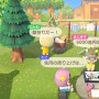 話題のテレワークって『あつまれ どうぶつの森』でも出来るんじゃない?編集部が実験して見えてきたメリット&デメリット